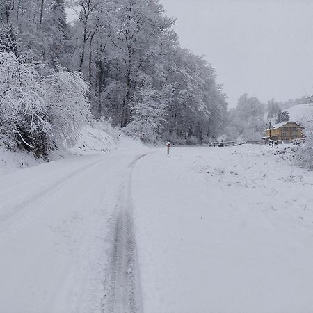 Bed and Breakfast Zelena Oaza Zgornja Kungota Zewnętrze zdjęcie