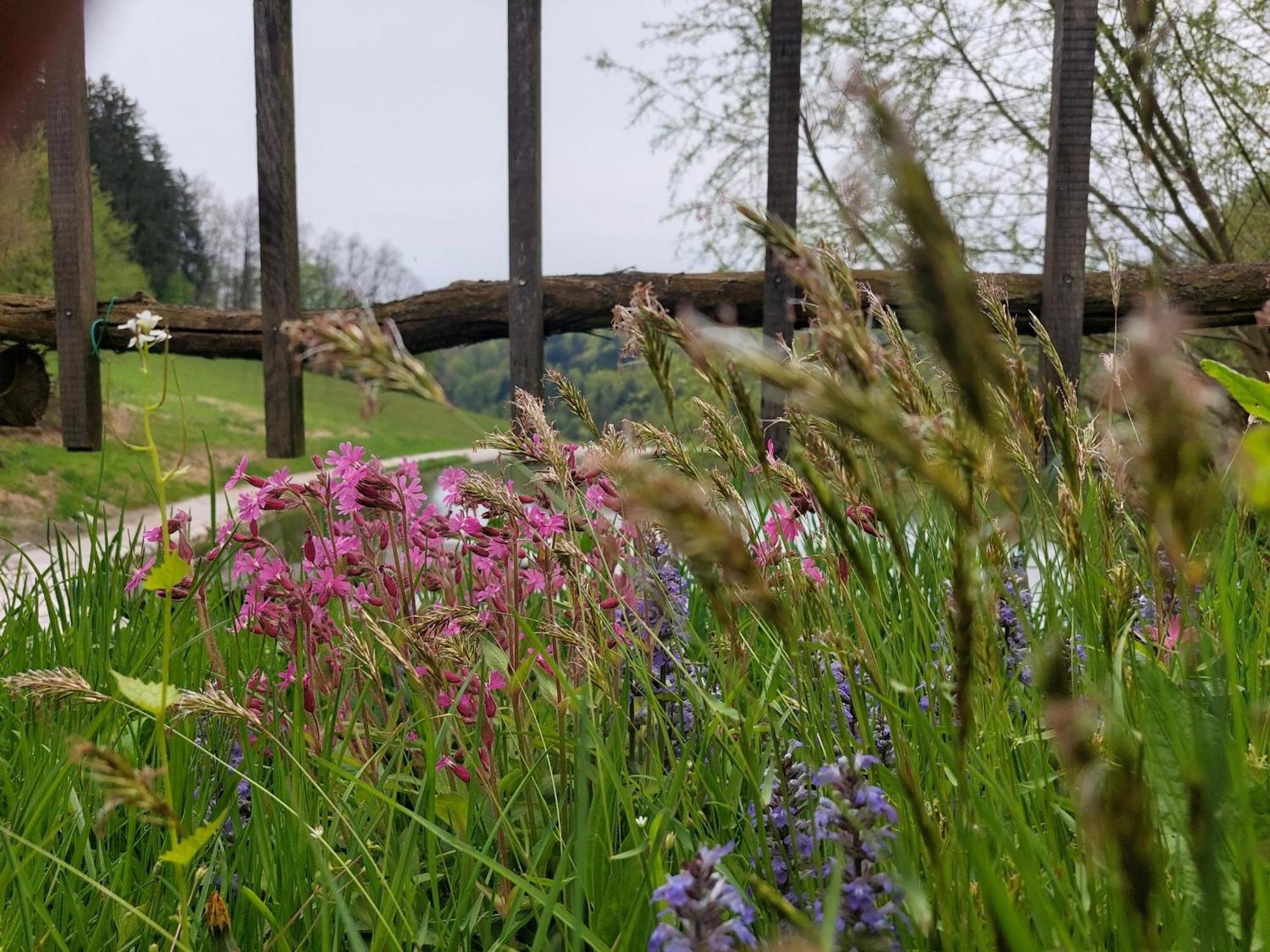 Bed and Breakfast Zelena Oaza Zgornja Kungota Zewnętrze zdjęcie