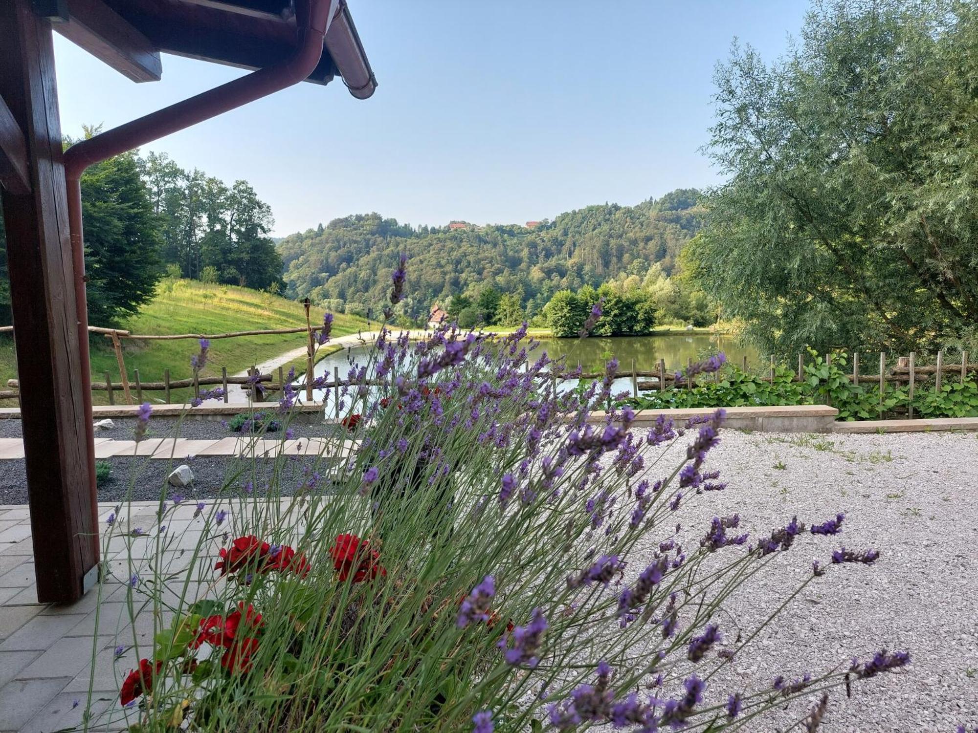 Bed and Breakfast Zelena Oaza Zgornja Kungota Zewnętrze zdjęcie
